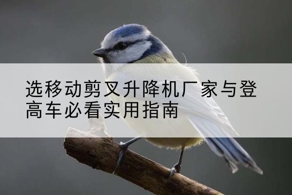 如皋电动升降机厂家-选移动剪叉升降机厂家与登高车必看实用指南