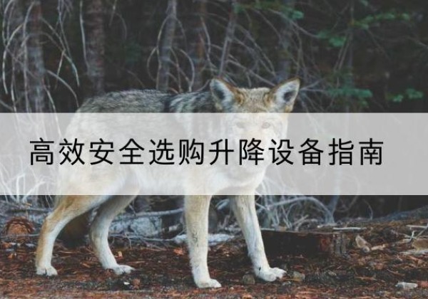 如皋升降货梯厂家推荐-*安全选购升降设备指南