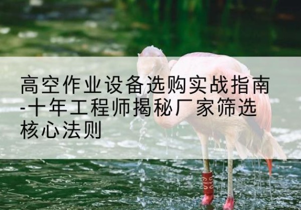 如皋剪叉式升降机厂家-高空作业设备选购实战指南-十年工程师揭秘厂家筛选核心法则