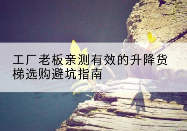 如皋升降货梯怎么选-工厂老板亲测有效的升降货梯选购避坑指南